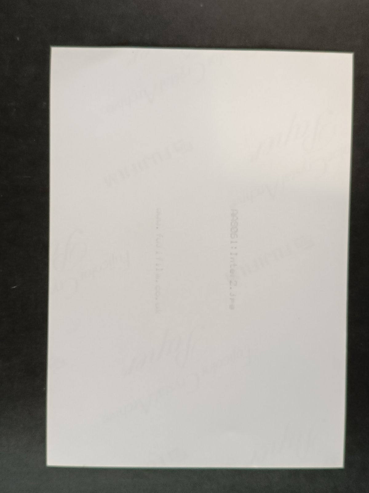 Image #2