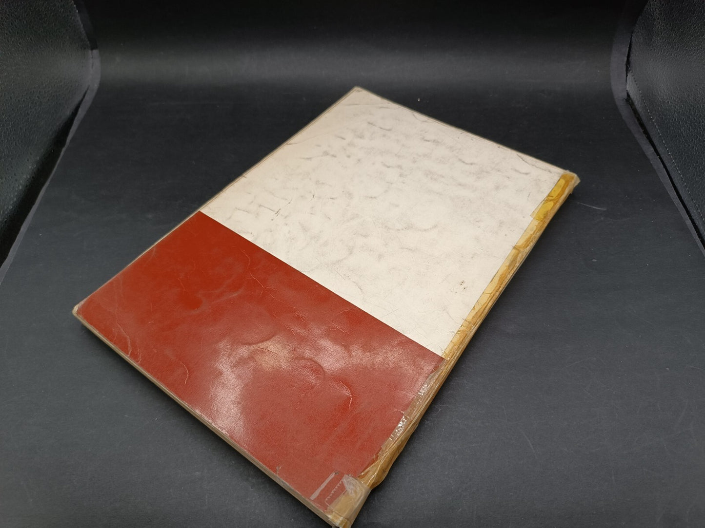 Libro I sessant'anni del Torino 1906-1966