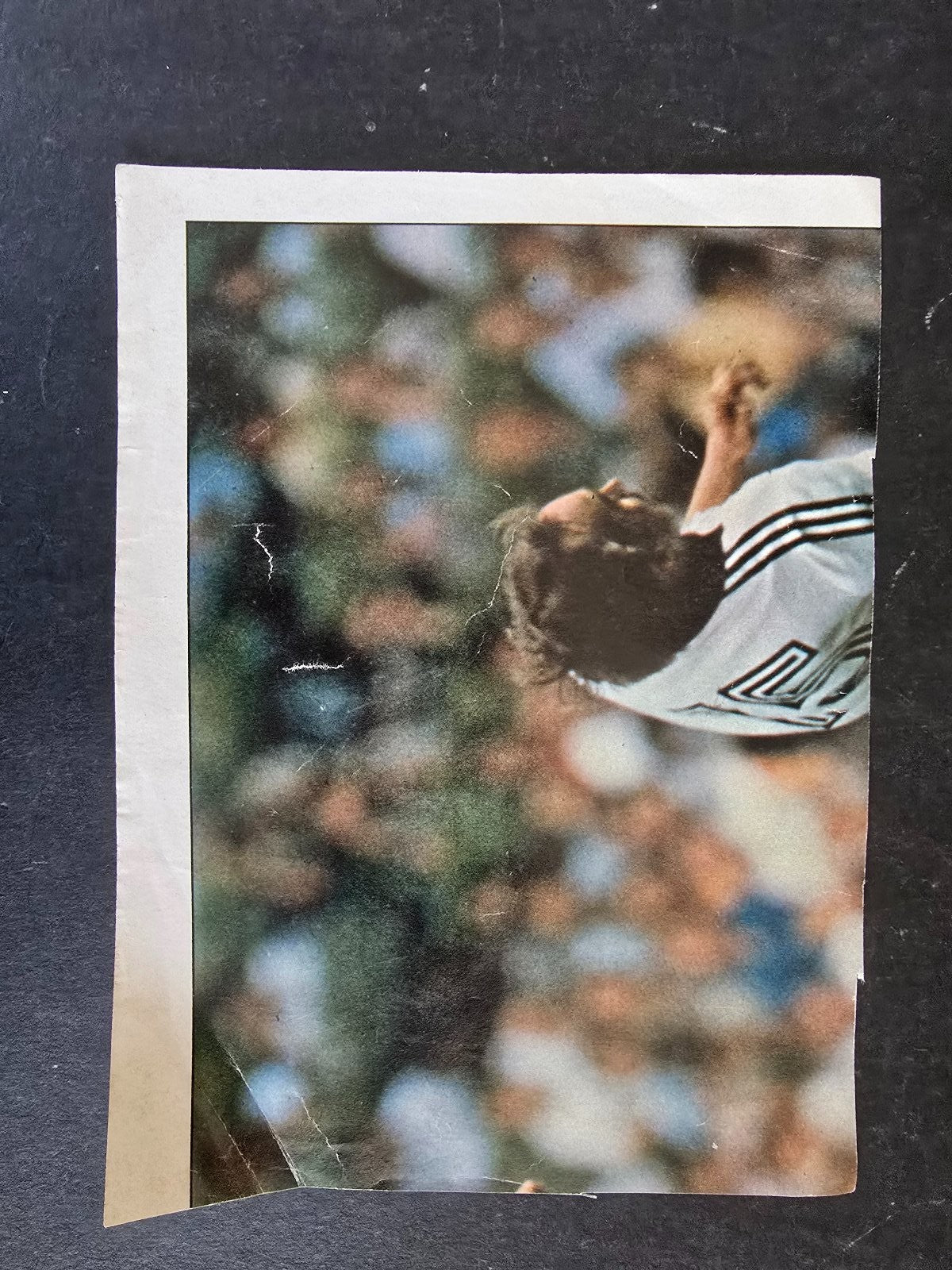 Autografo autograph originale su ritaglio Nazionale