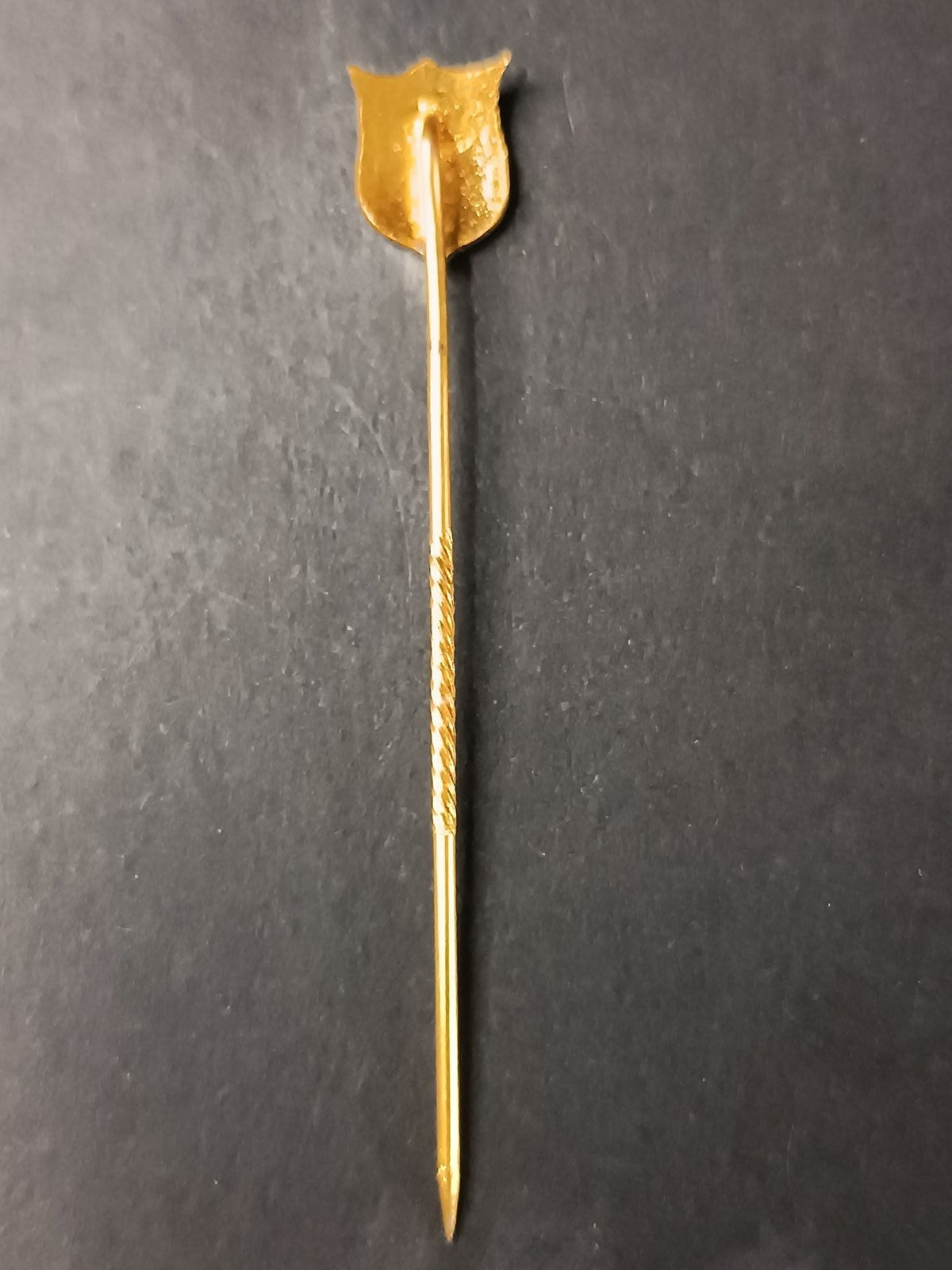 spilla badge pins Club Atl�tico Pe�arol