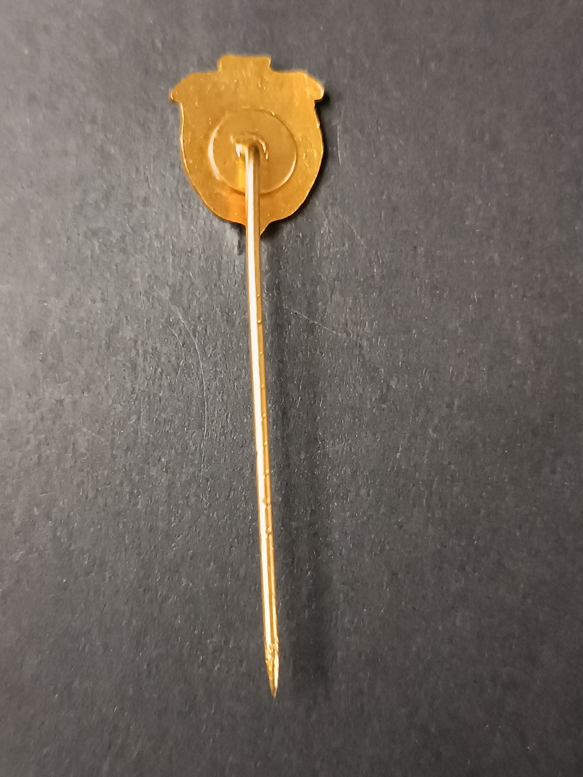 spilla badge pins Grupo Desportivo Gouveia