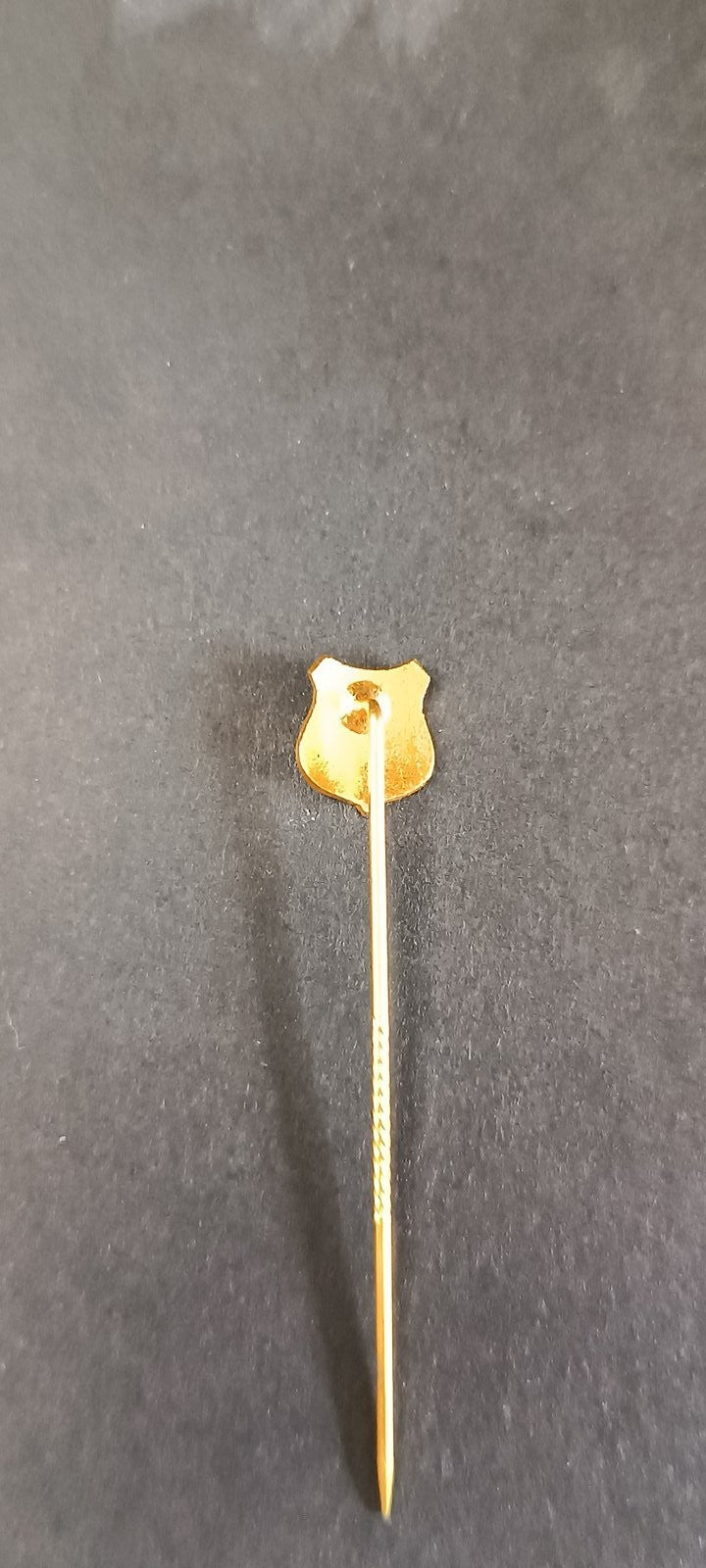 spilla badge pins Aarhus Gymnastikforening