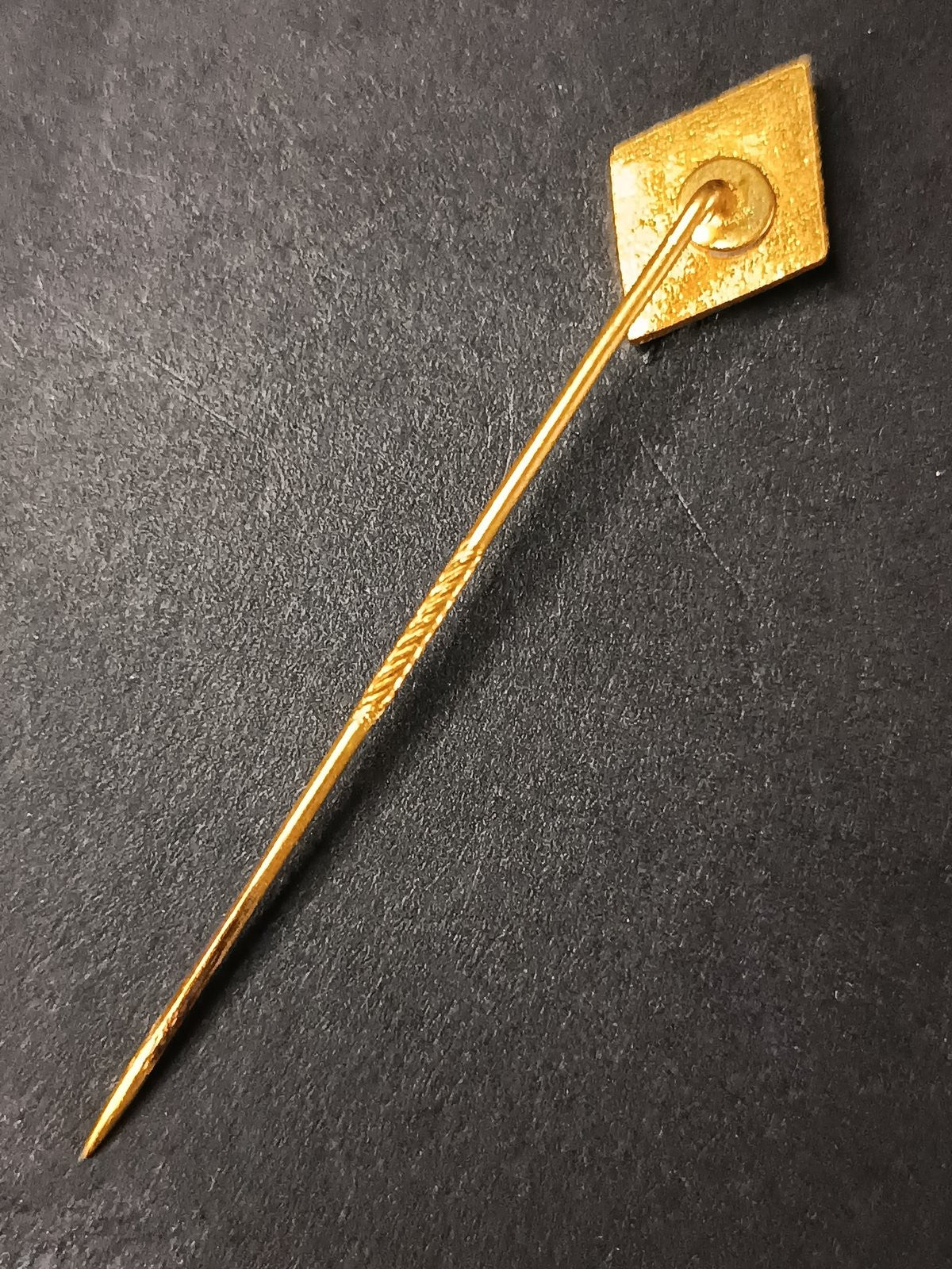 spilla badge pins S3C