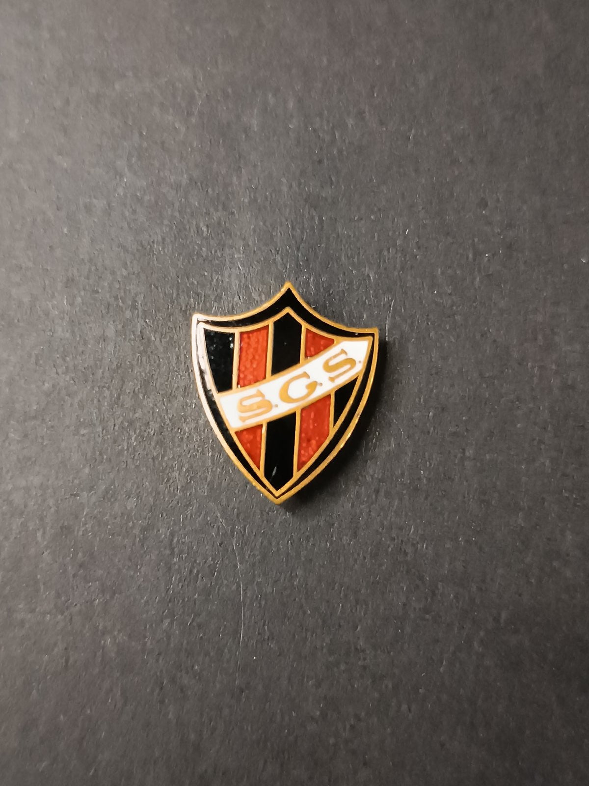 spilla badge pins S.G.S.