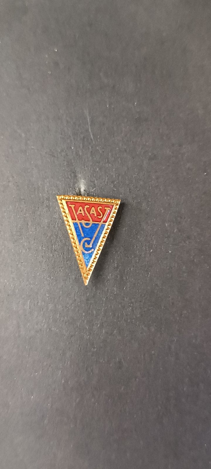 spilla badge pins Vasas FC