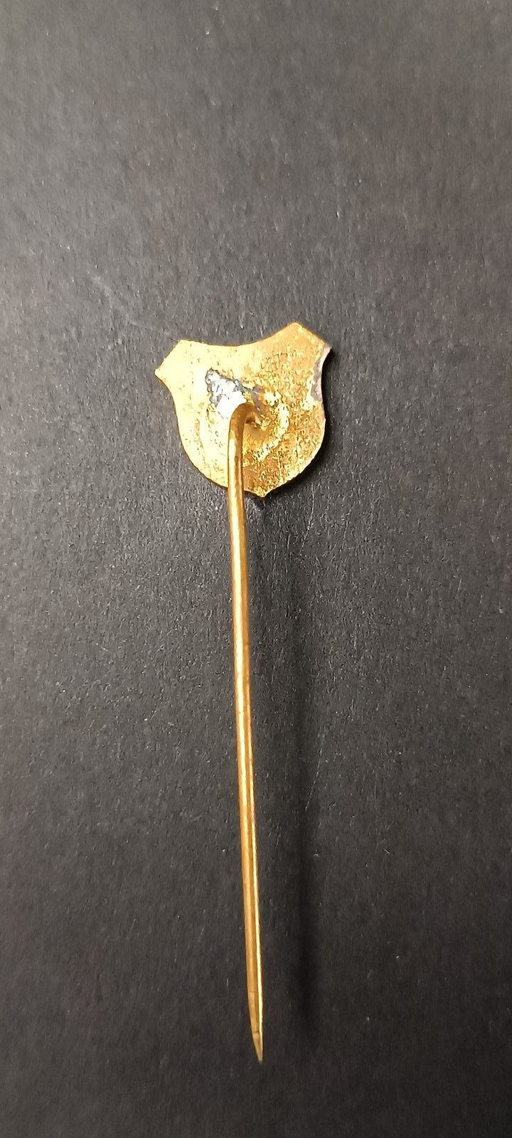 spilla badge pins badge onorifico Sovietico
