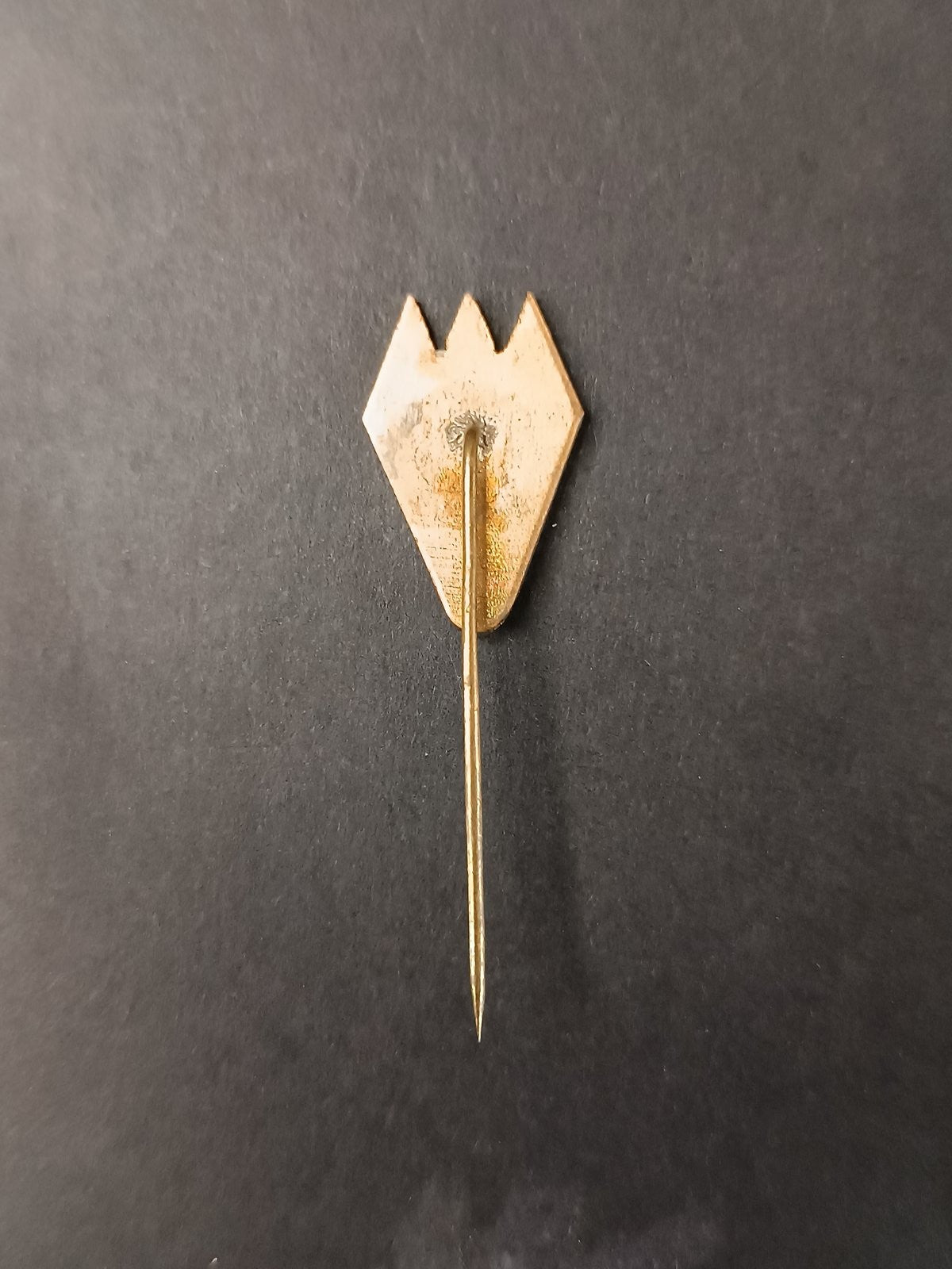 spilla badge pins GKS Zag??bie Sosnowiec