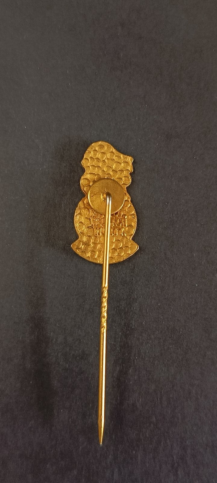 spilla badge pins Football Club Avenir Beggen