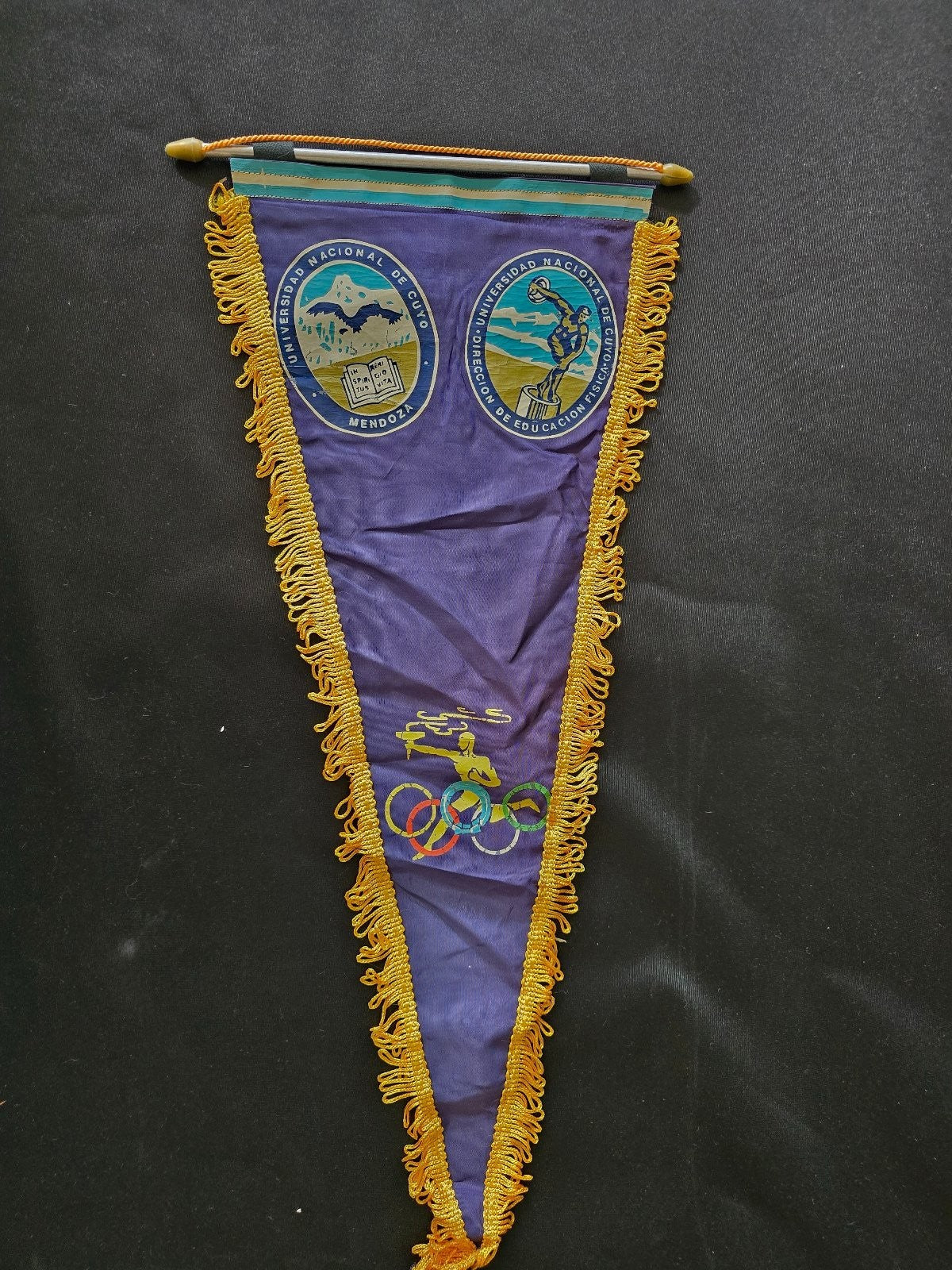OLD Gagliardetto Pennant bander�n UNIVERSIDAD NACIONAL CUYO MENDOZA