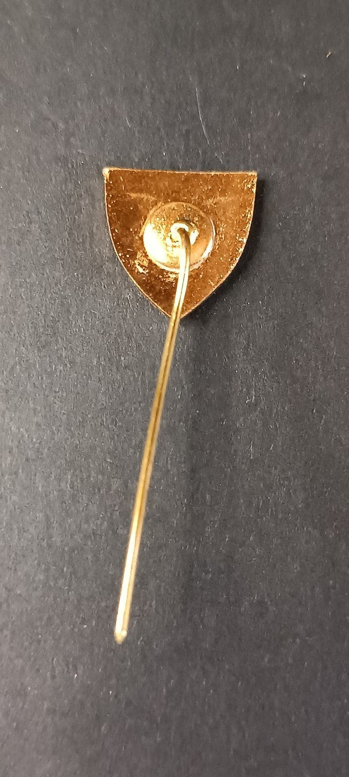 spilla badge pins Politehnica Ia?i