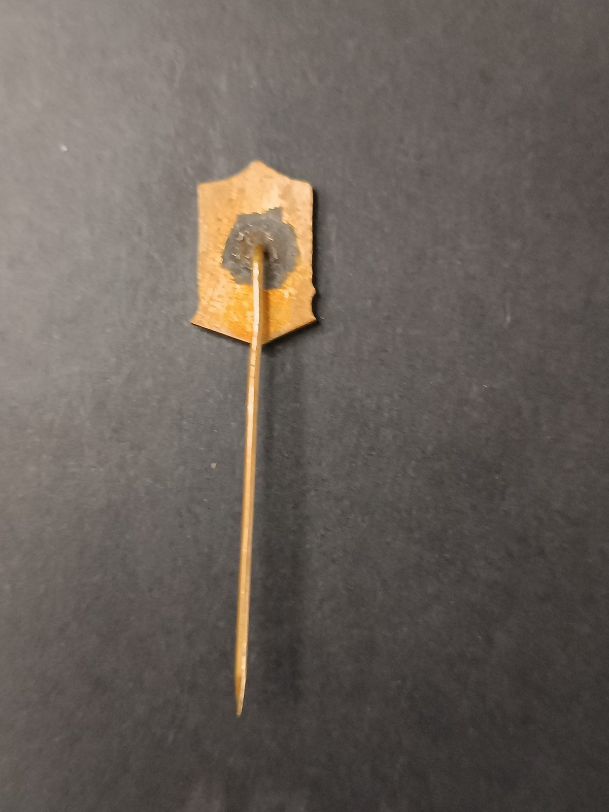 spilla badge pins BKS Bielsko-Bia?a