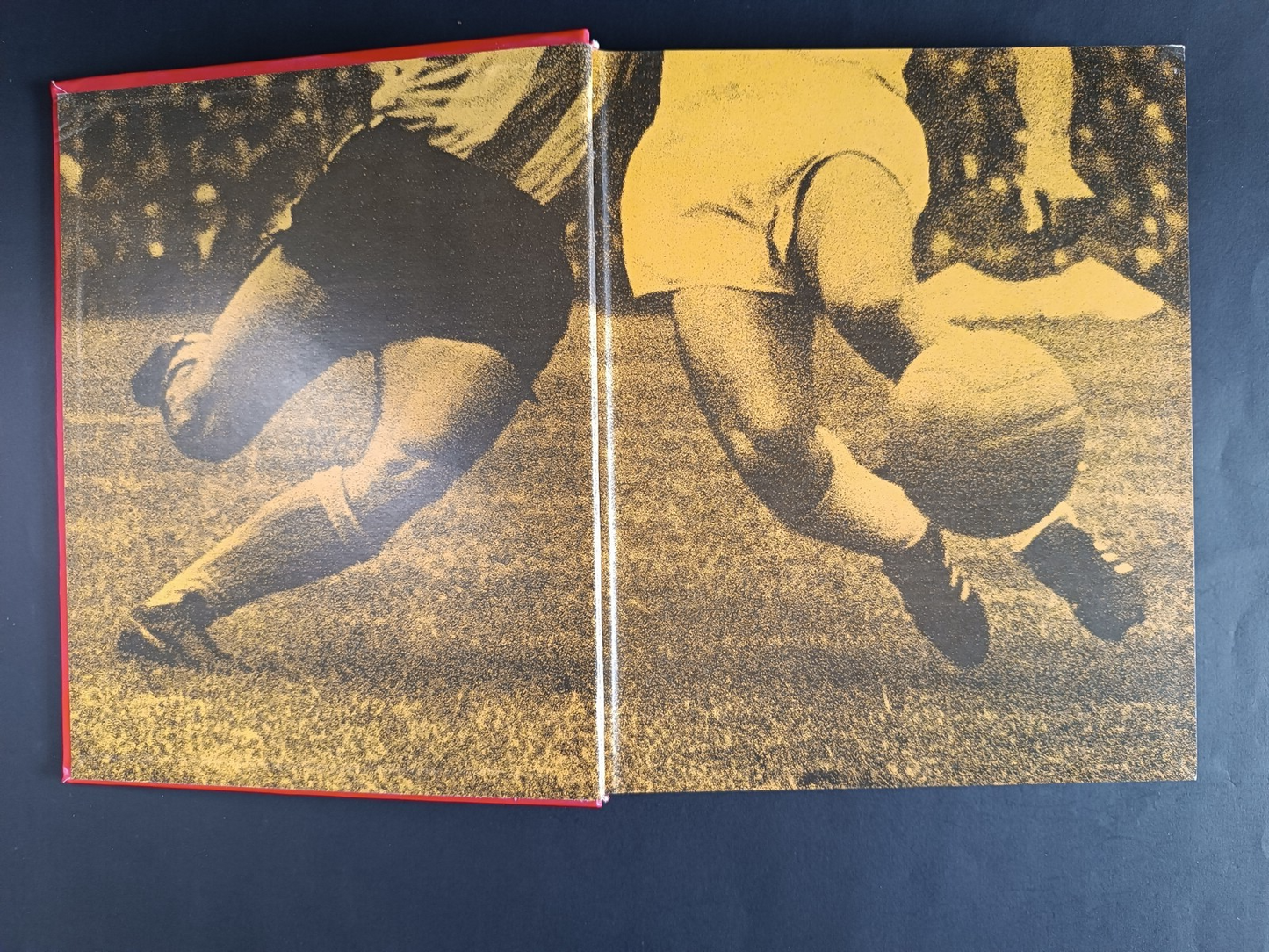 volumi ed Perna Enciclopedia del pallone d'Oro volumi 1-2