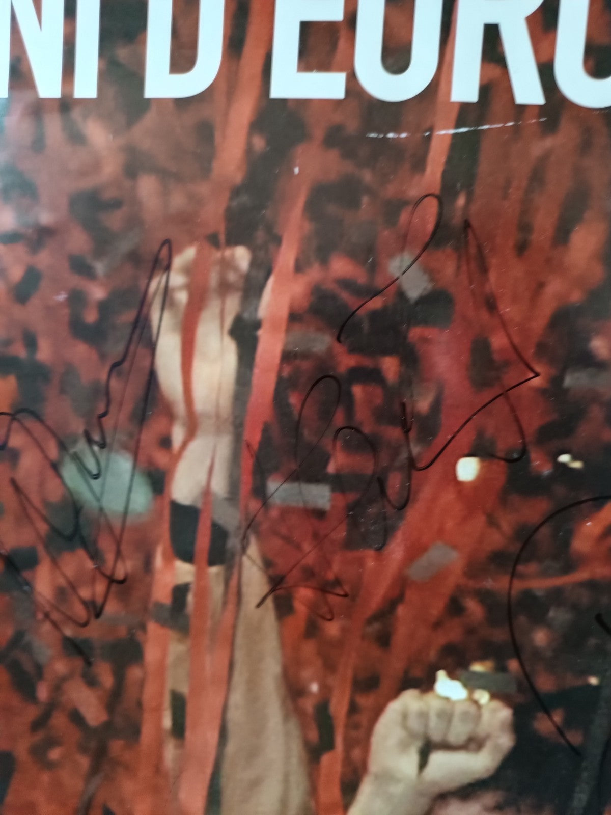 Poster AUTOGRAFATO originale CAMPIONI EUROPA 2002-2003 San Siro museo Arisi