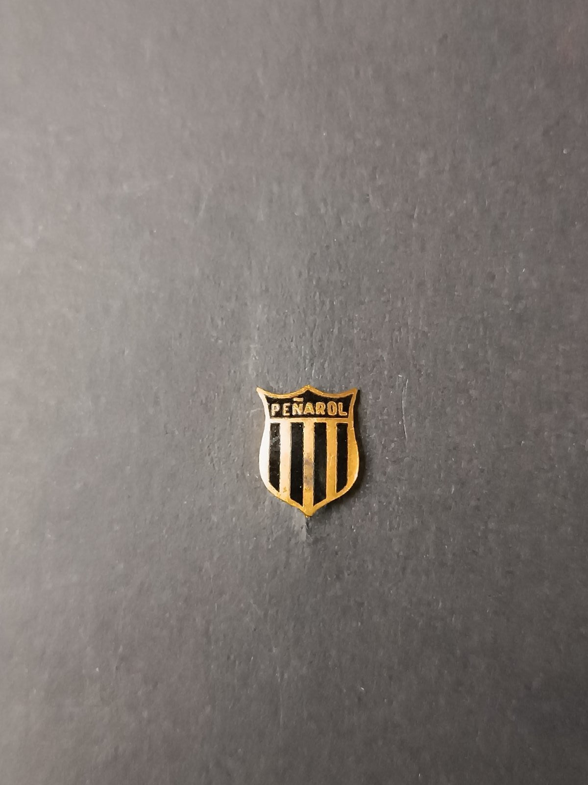 spilla badge pins Club Atl�tico Pe�arol