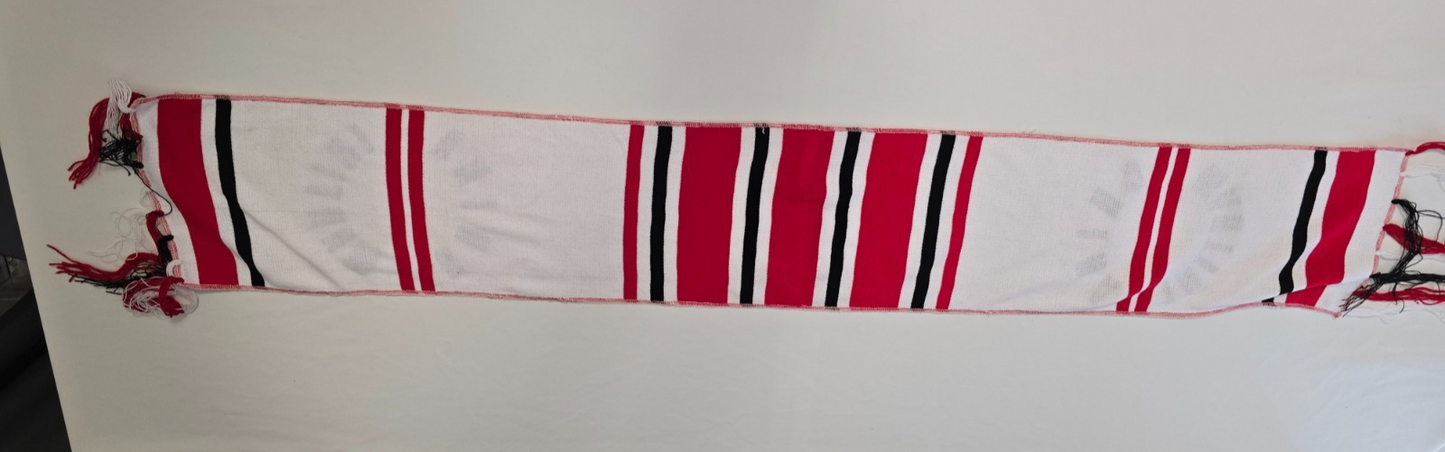 Sciarpa Auxilium Pallacanestro CHINAMARTINI Torino Basket lanetta anni 80/90