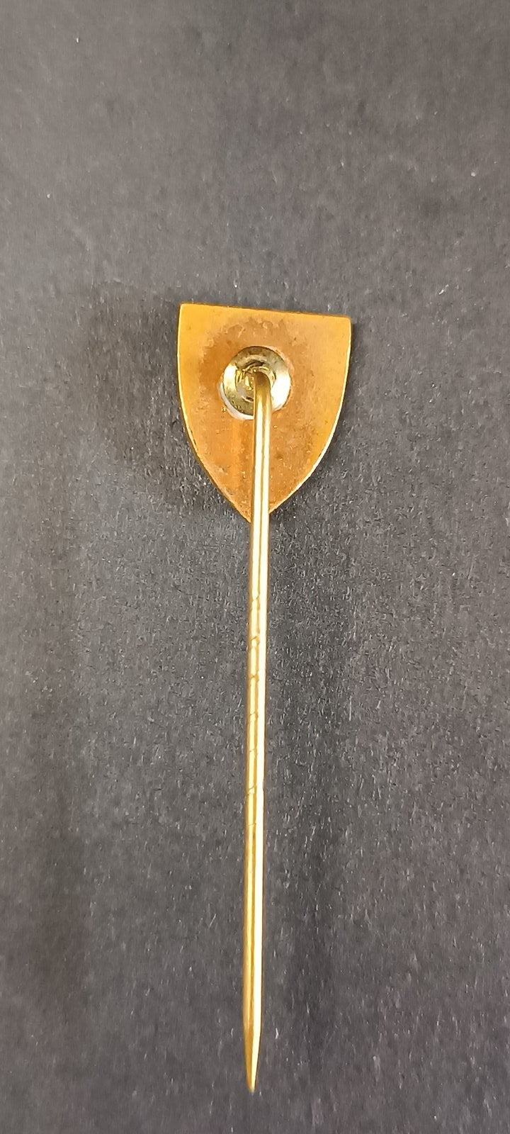 spilla badge pins Wiener w Znaczki