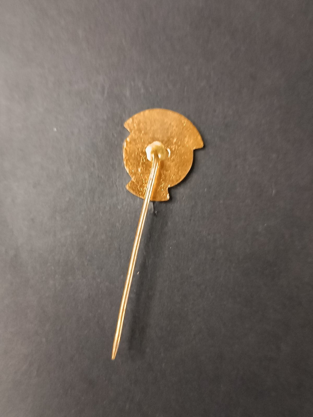 spilla badge pins TJ Zbrojovka Brno