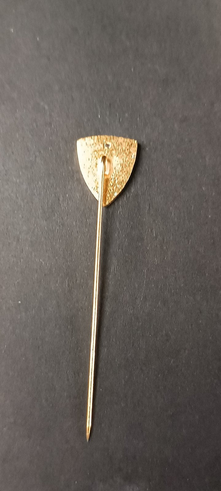 spilla badge pins FC Luzern