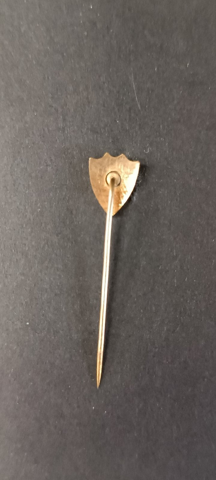 spilla badge pins Associa��o Portuguesa de Desportos