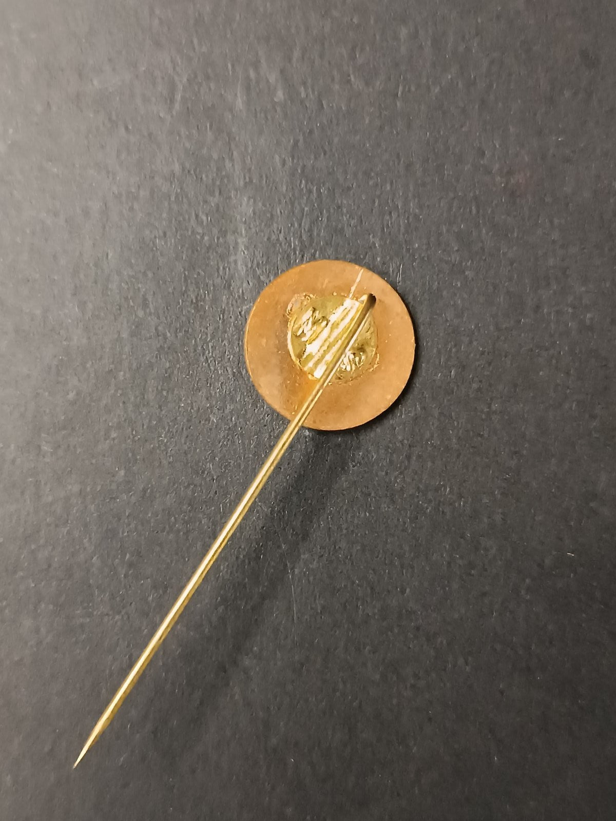 spilla badge pins Amicii Clubului Dinamo