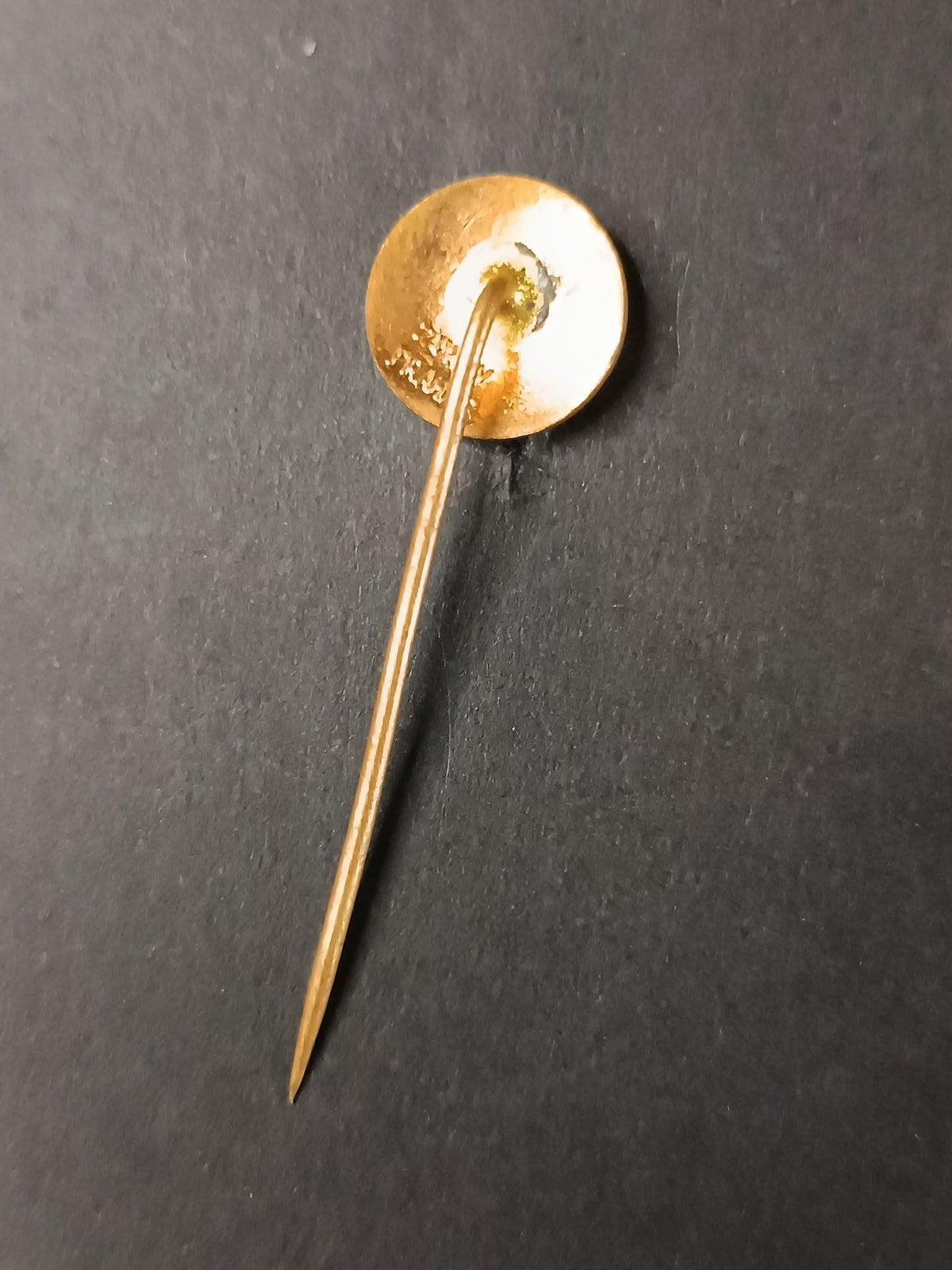 spilla badge pins TJ Slavia Praha