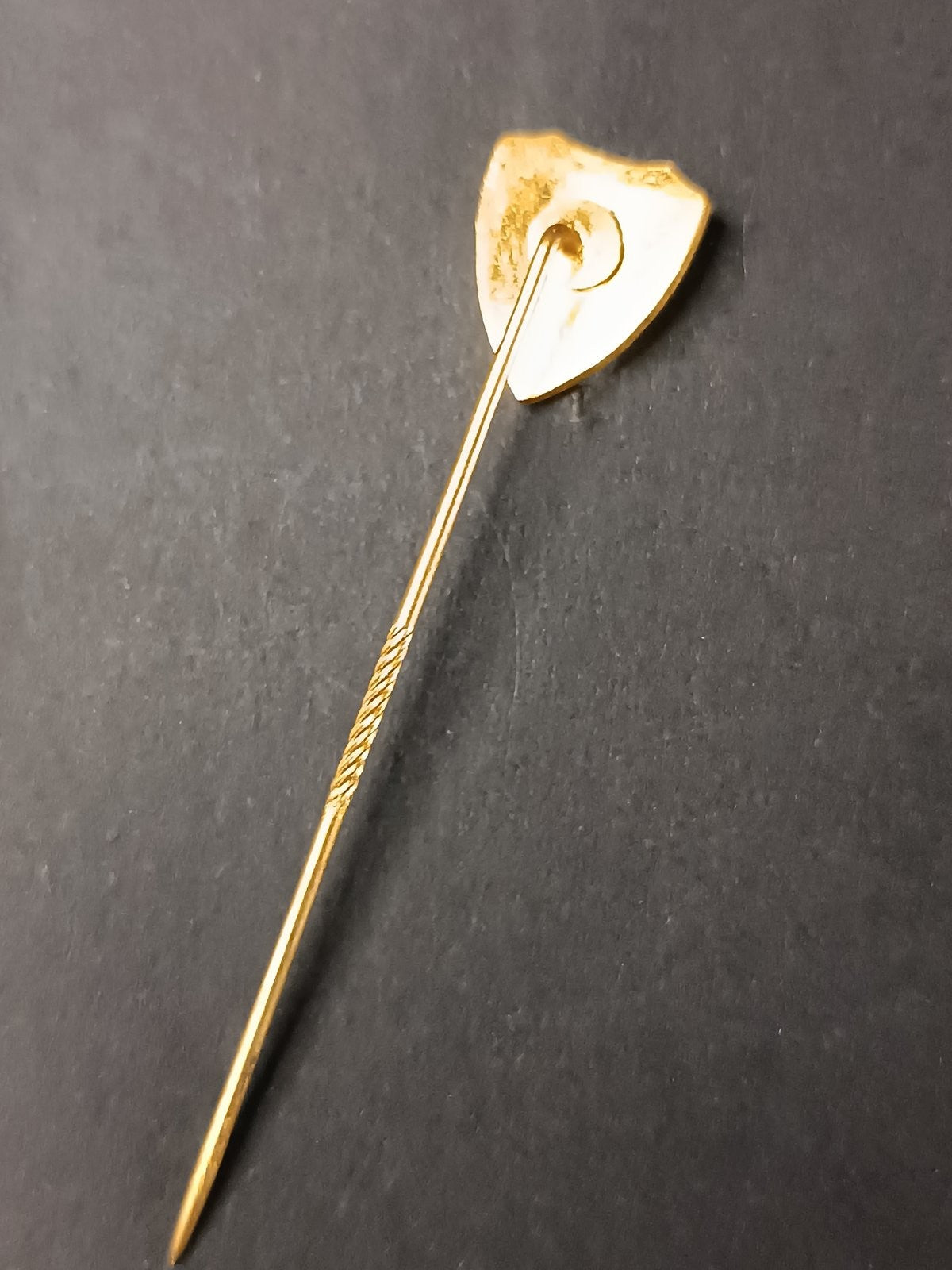 spilla badge pins SC Salgueiros