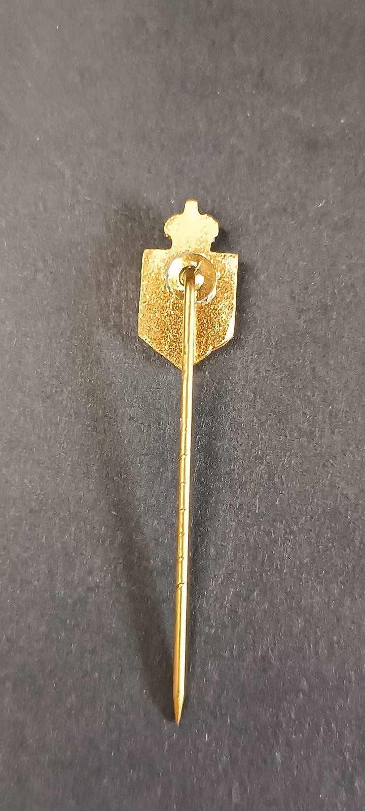 spilla badge pins Royal Charleroi Sporting Club