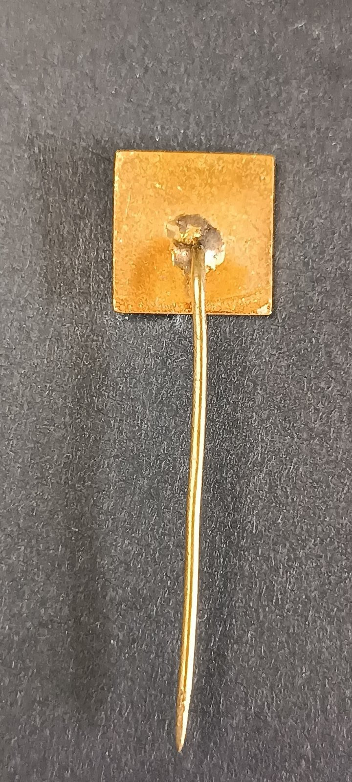 spilla badge pins Profesionalen Futbolen Klub Levski Sofija