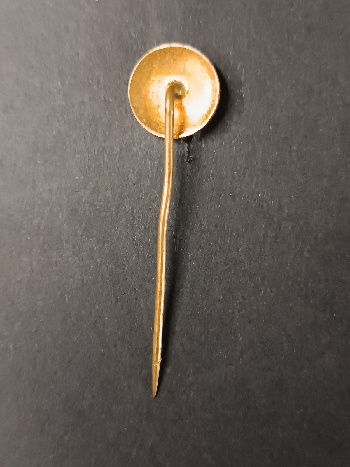spilla badge pins Sportovn� Klub Slavia Praha
