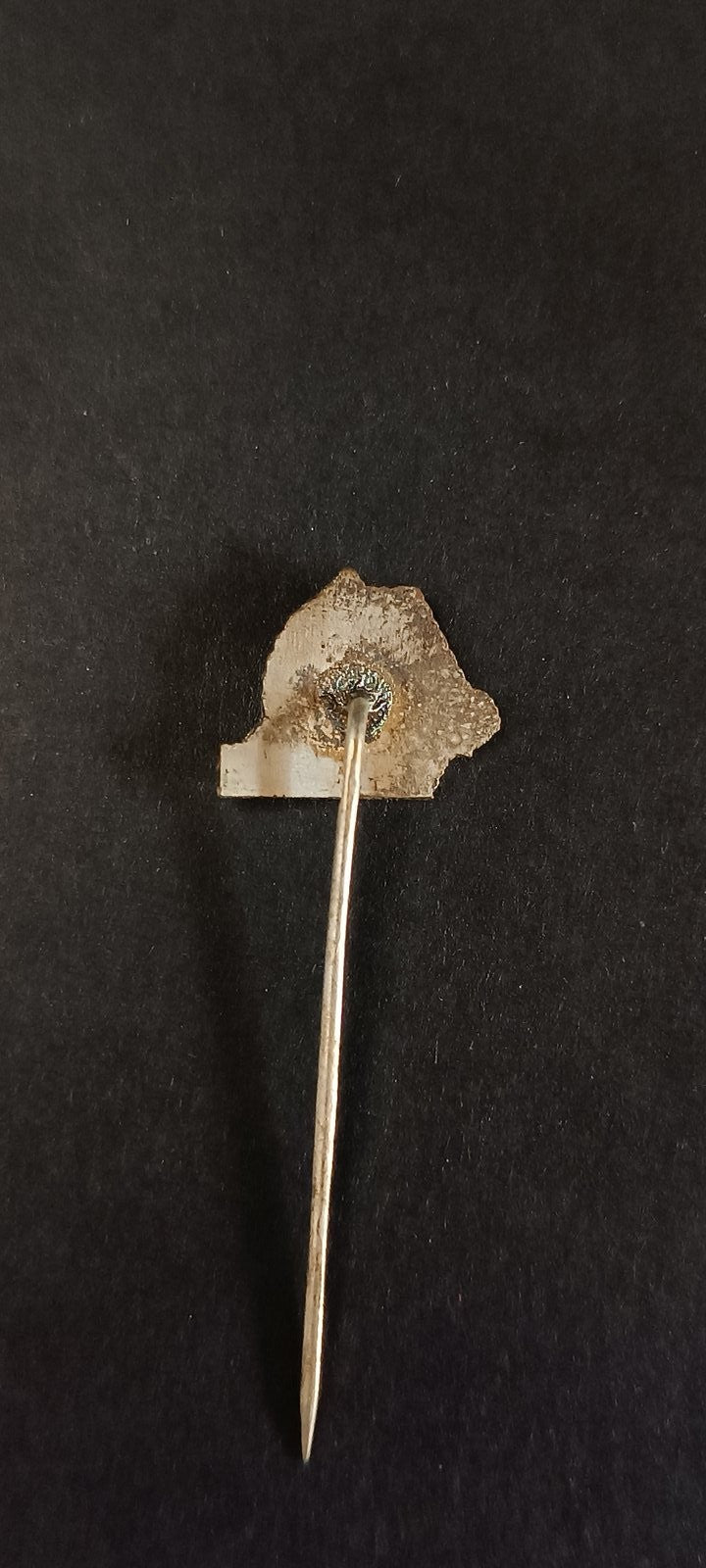 spilla badge pins Stal rzeszow