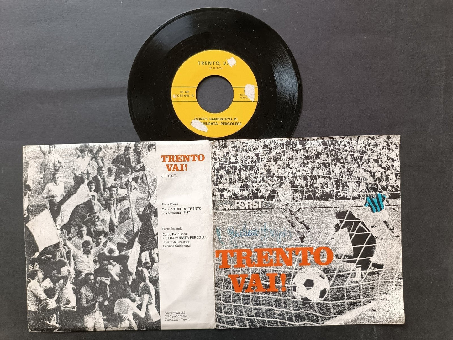Vinile 45 giri TRENTO VAI!