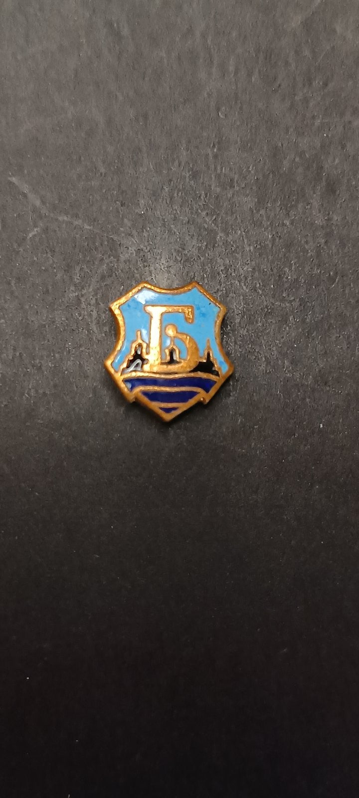 spilla badge pins OFC Bdin Vidin
