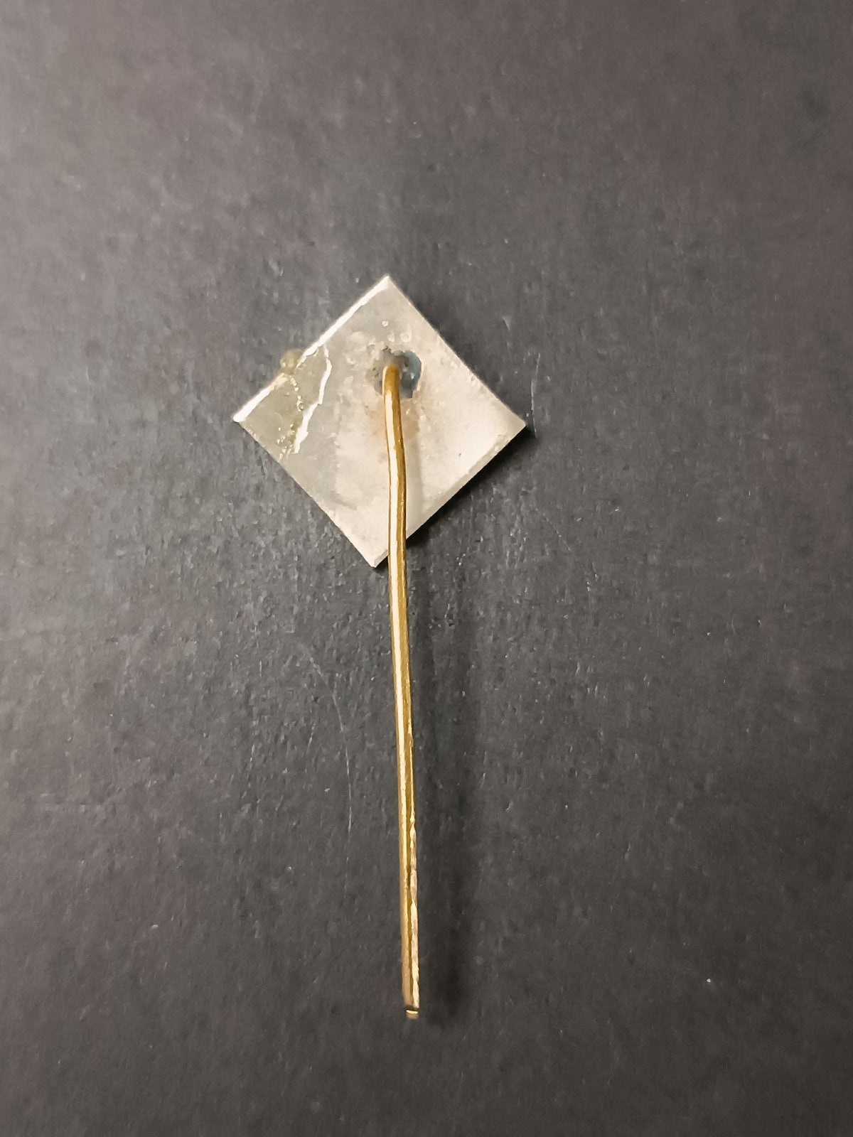 spilla badge pins SCMD