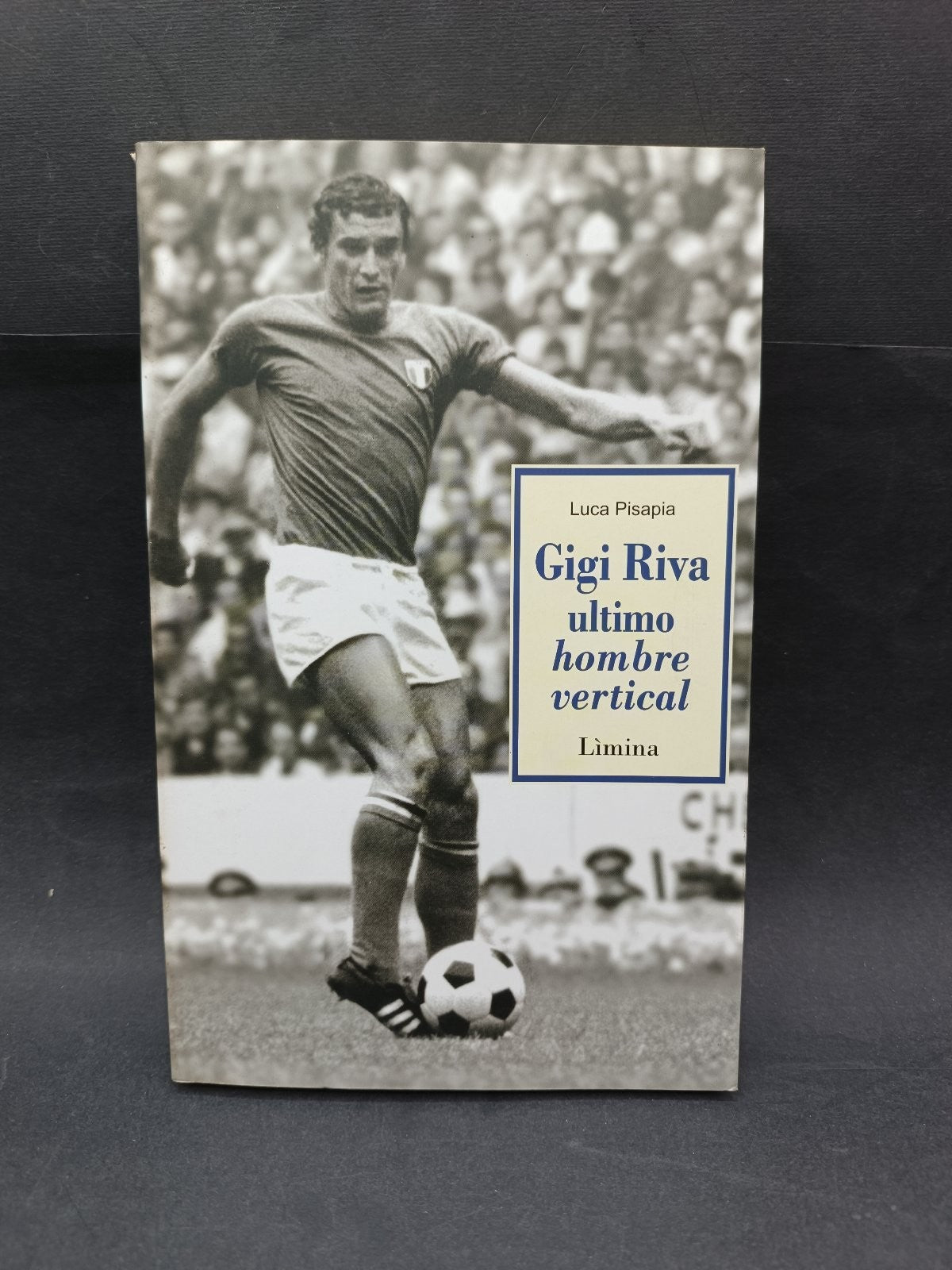 Libro Luca Pisapia GIGI RIVA ULTIMO HOMBRE VERTICAL Limina Editore