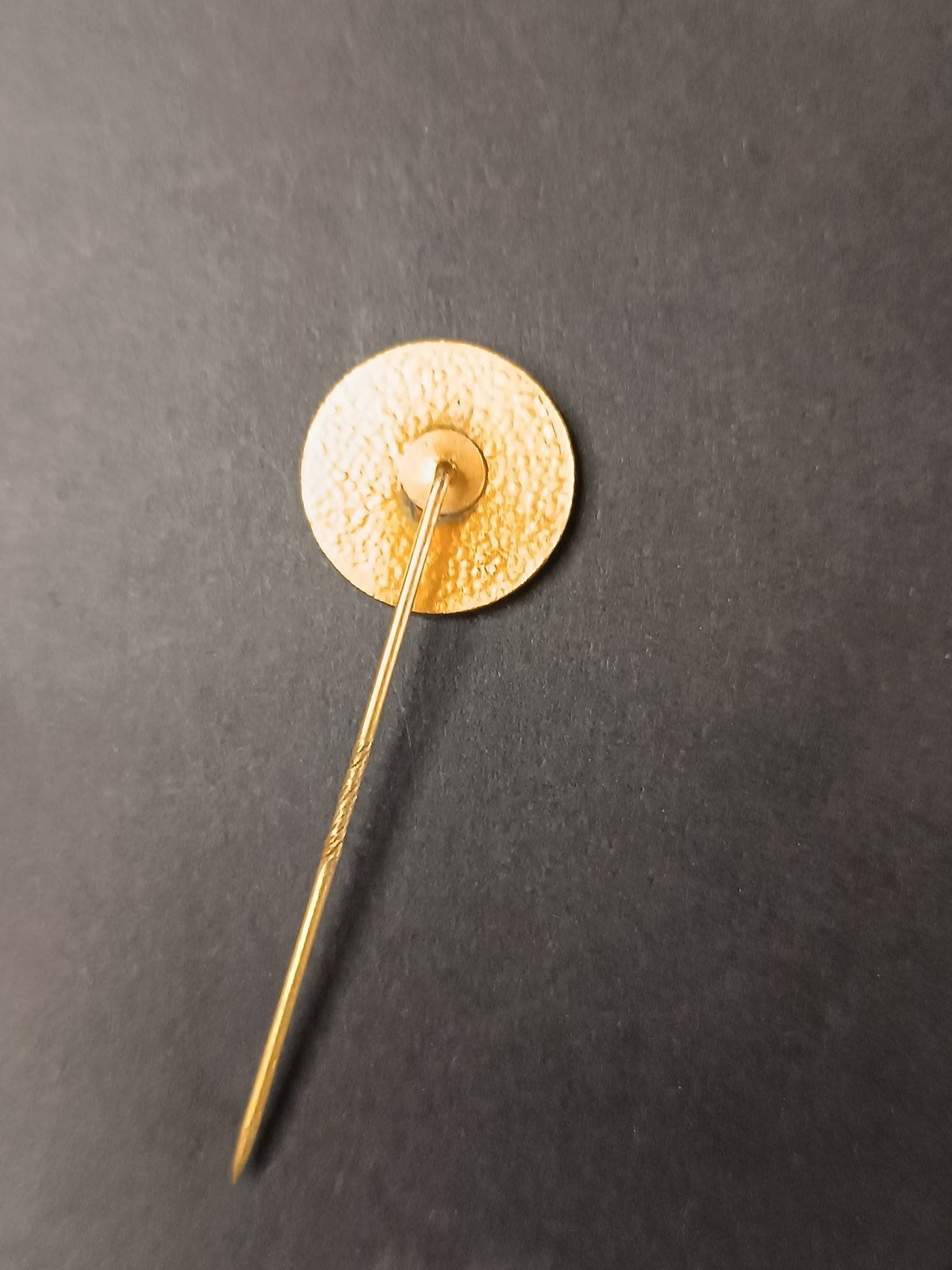 spilla badge pins FC Twente