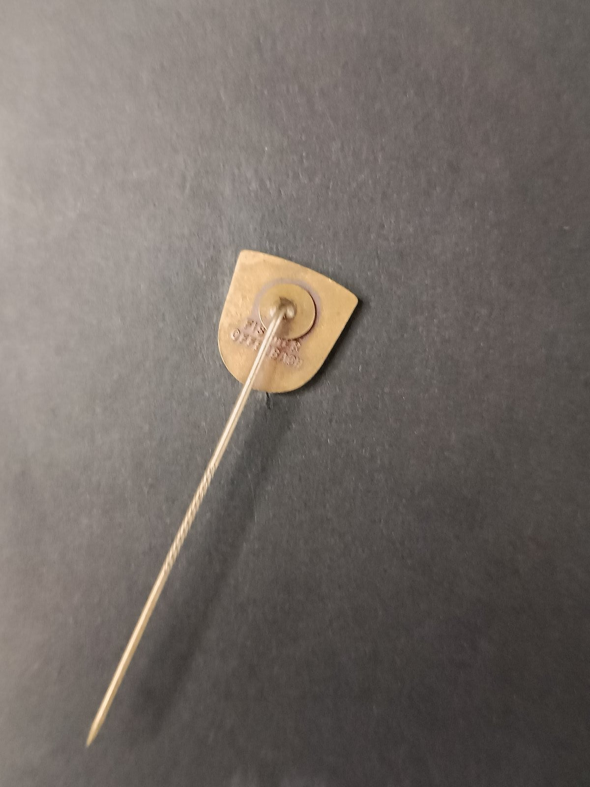 spilla badge pins Enia Emilia