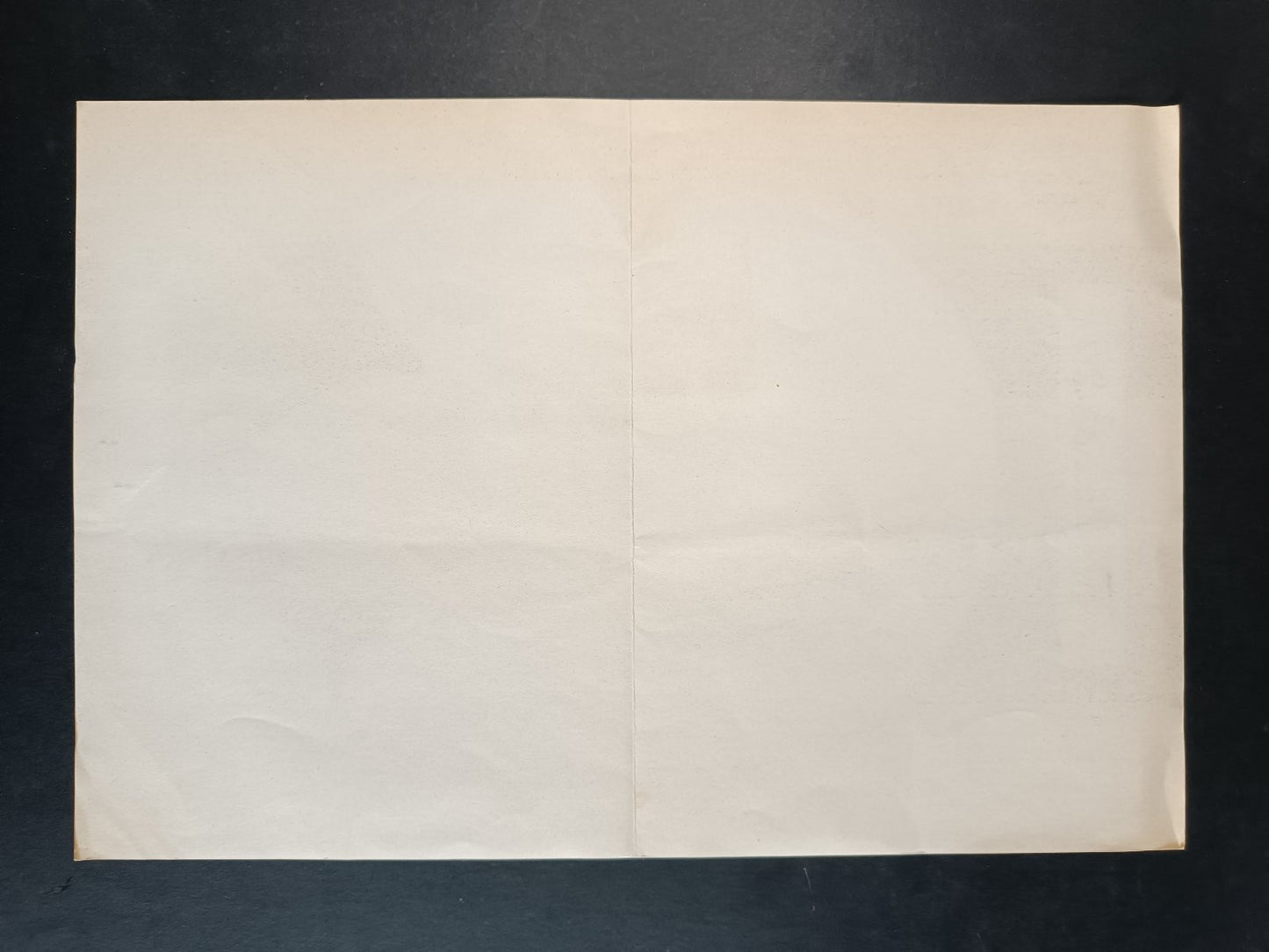 poster RIVERA X (32x21 cm) Baggioli