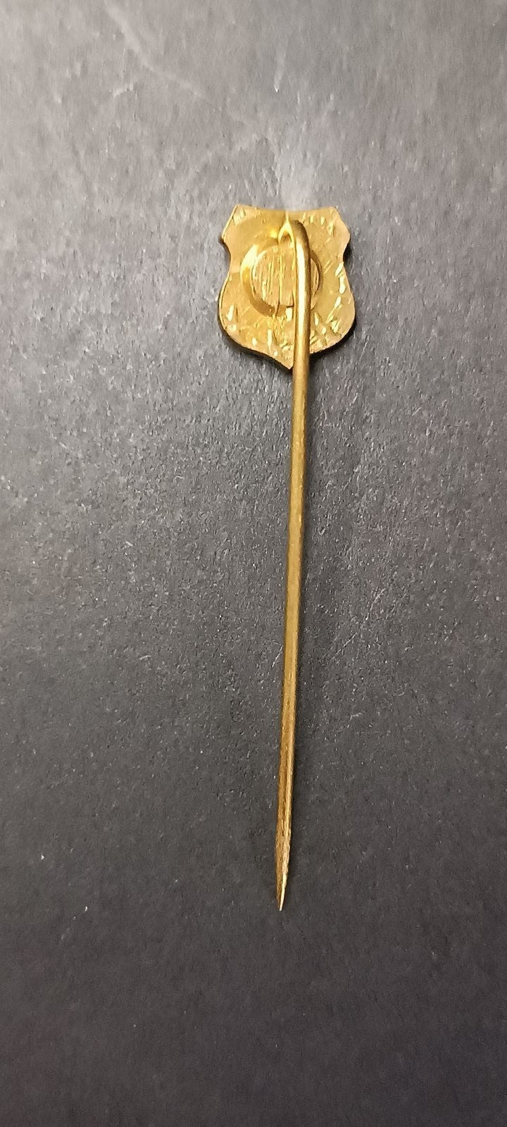 spilla badge pins SJU
