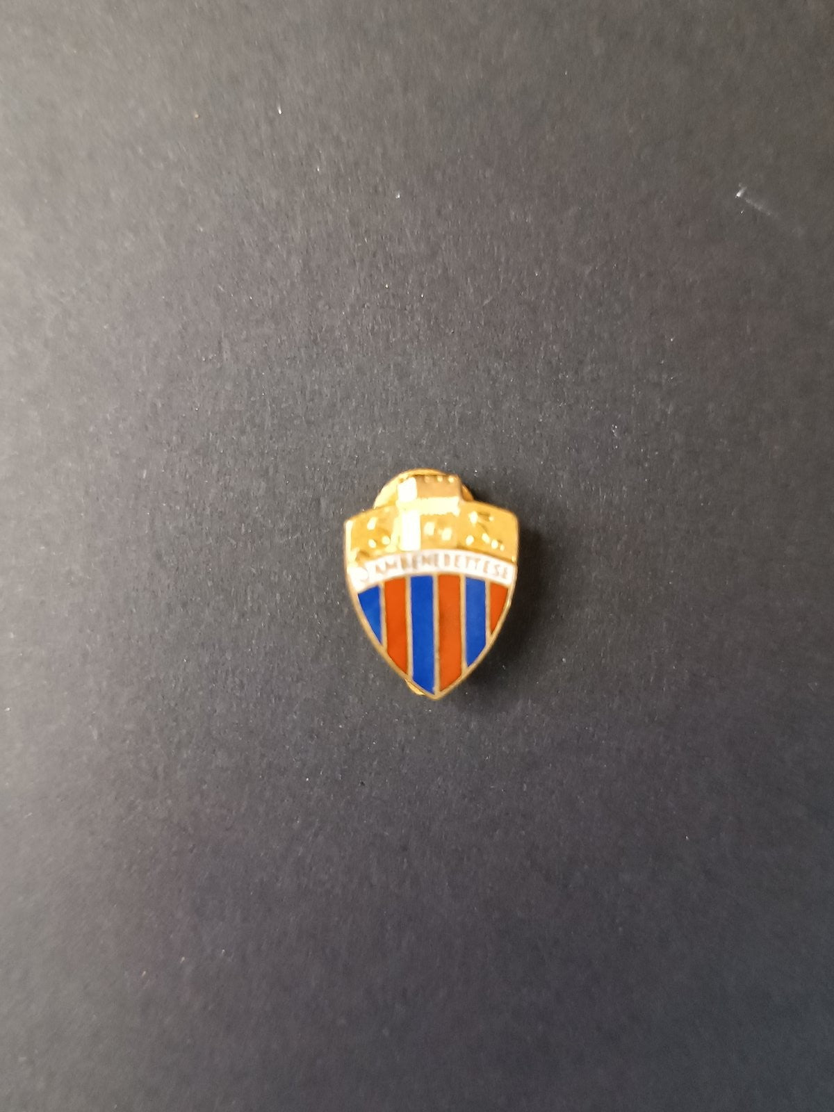 pins spilla calcio Sambenedettese