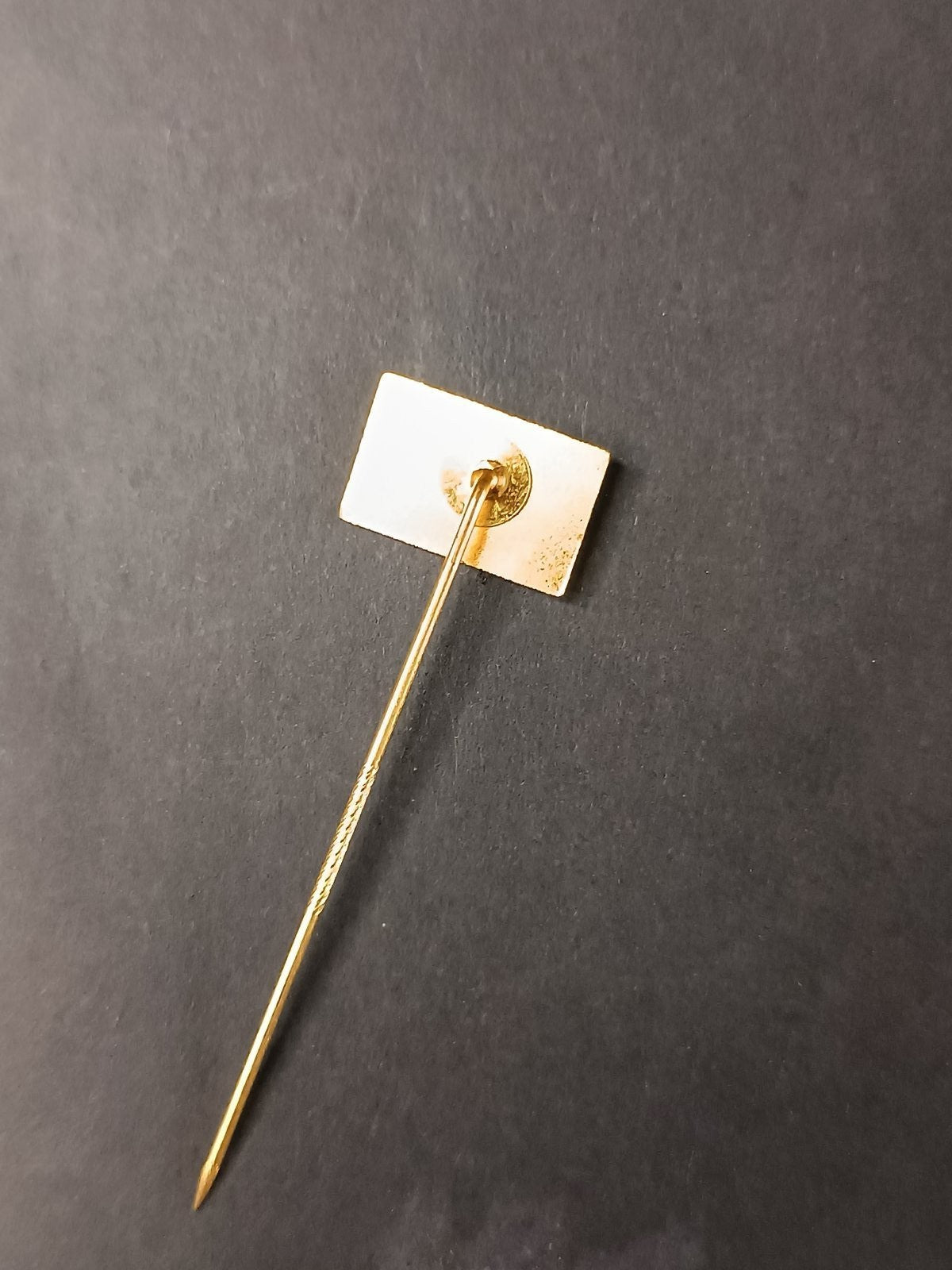spilla badge pins DSV 78 Hannover