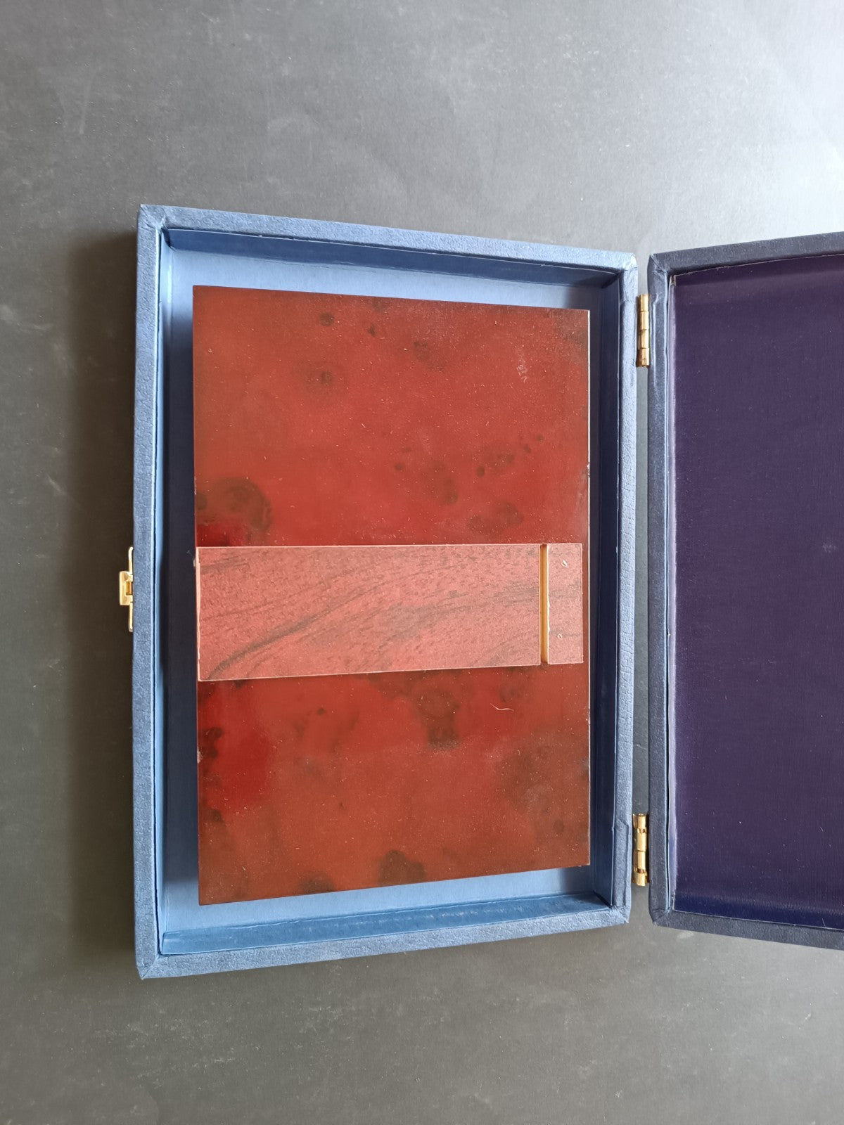 Placca di metallo Reconhecimento Infantis SL Benfica Campdes 95/96