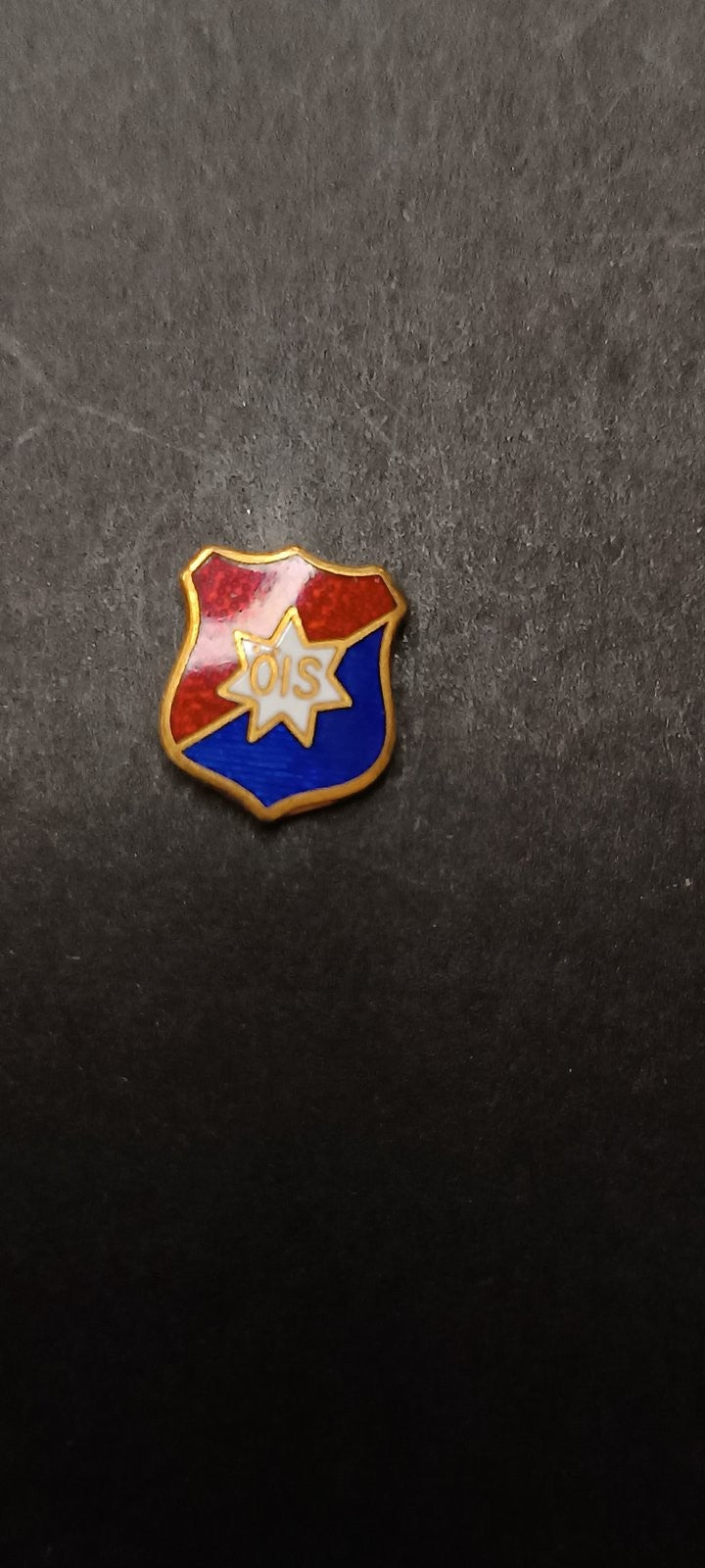 spilla badge pins OIS