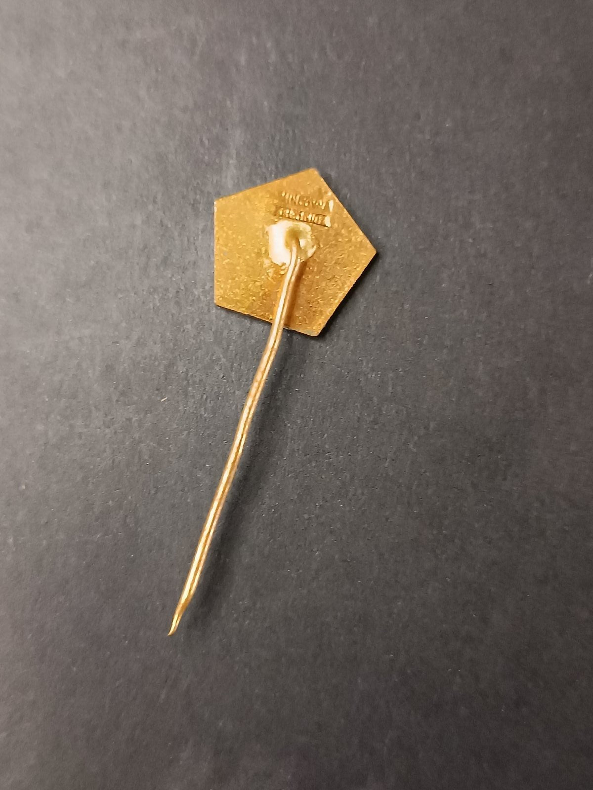 spilla badge pins Royal Club Bratislava