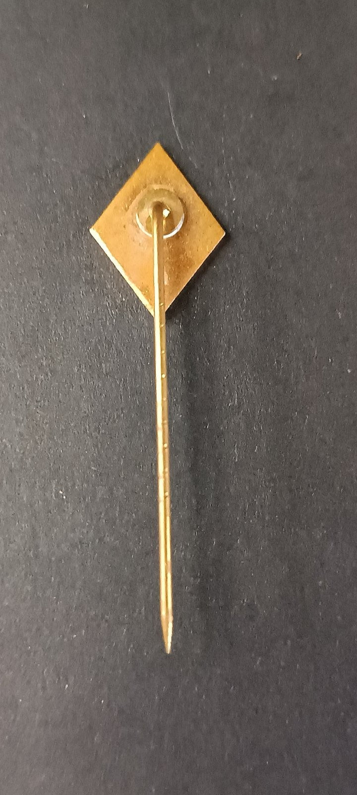 spilla badge pins Royal Antwerp FC