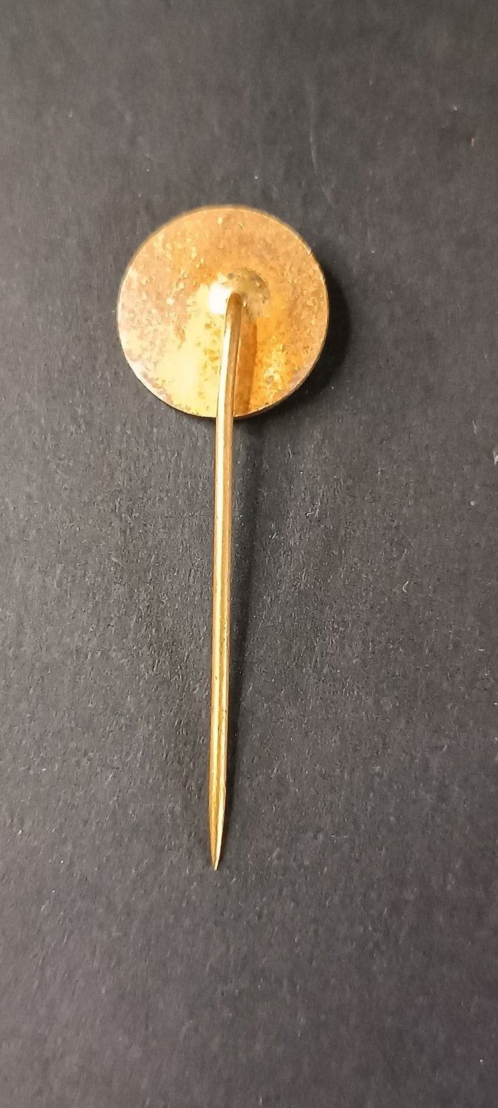 spilla badge pins VT� CHOMUTOV