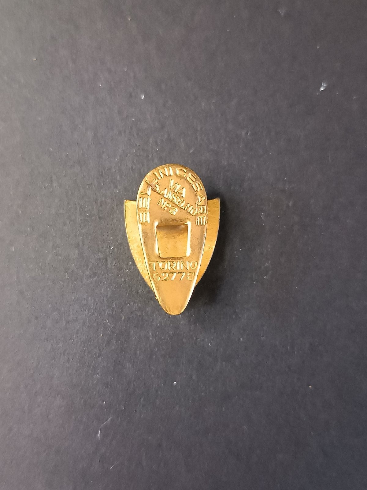 pins spilla calcio Lavagnese