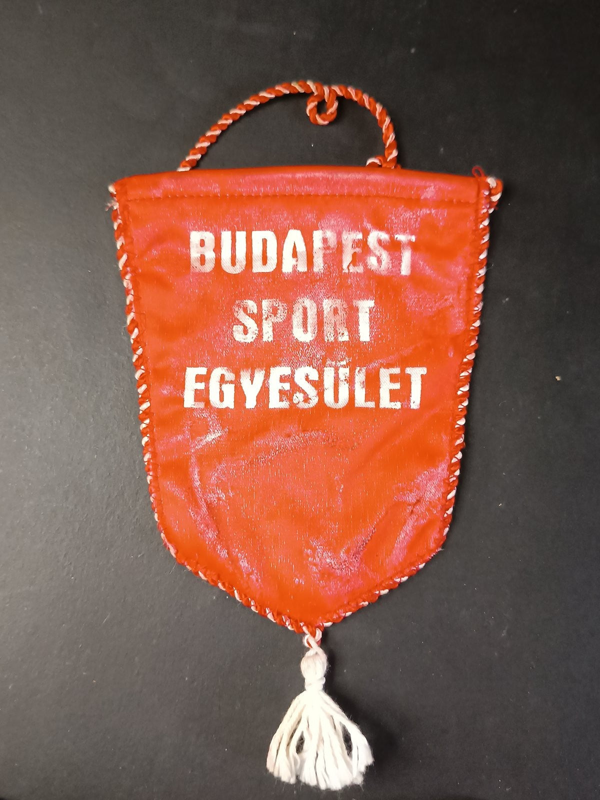basket pallacanestro BSE gagliardetto