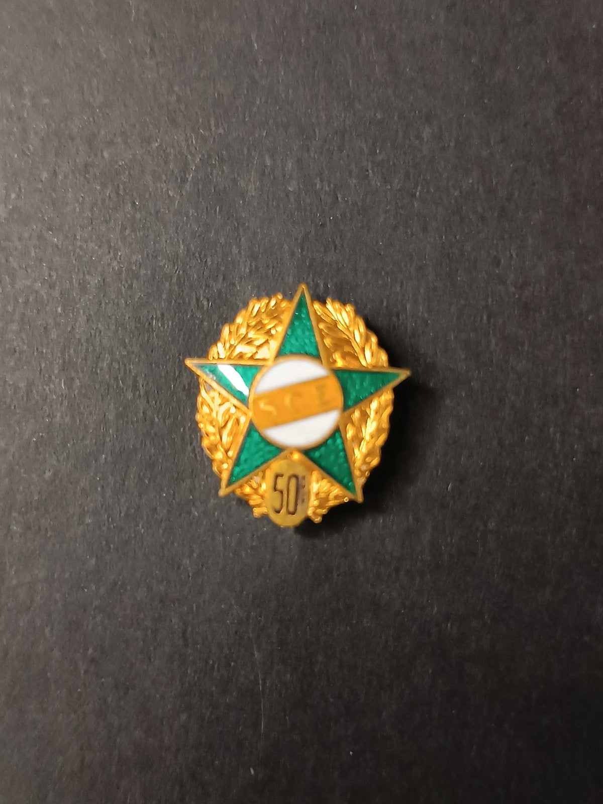 spilla badge pins SCE 50�