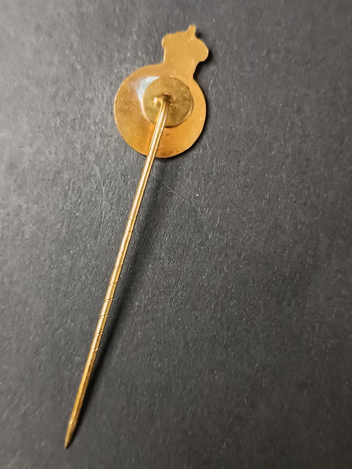 spilla badge pins Cercle Sportif Brugeois