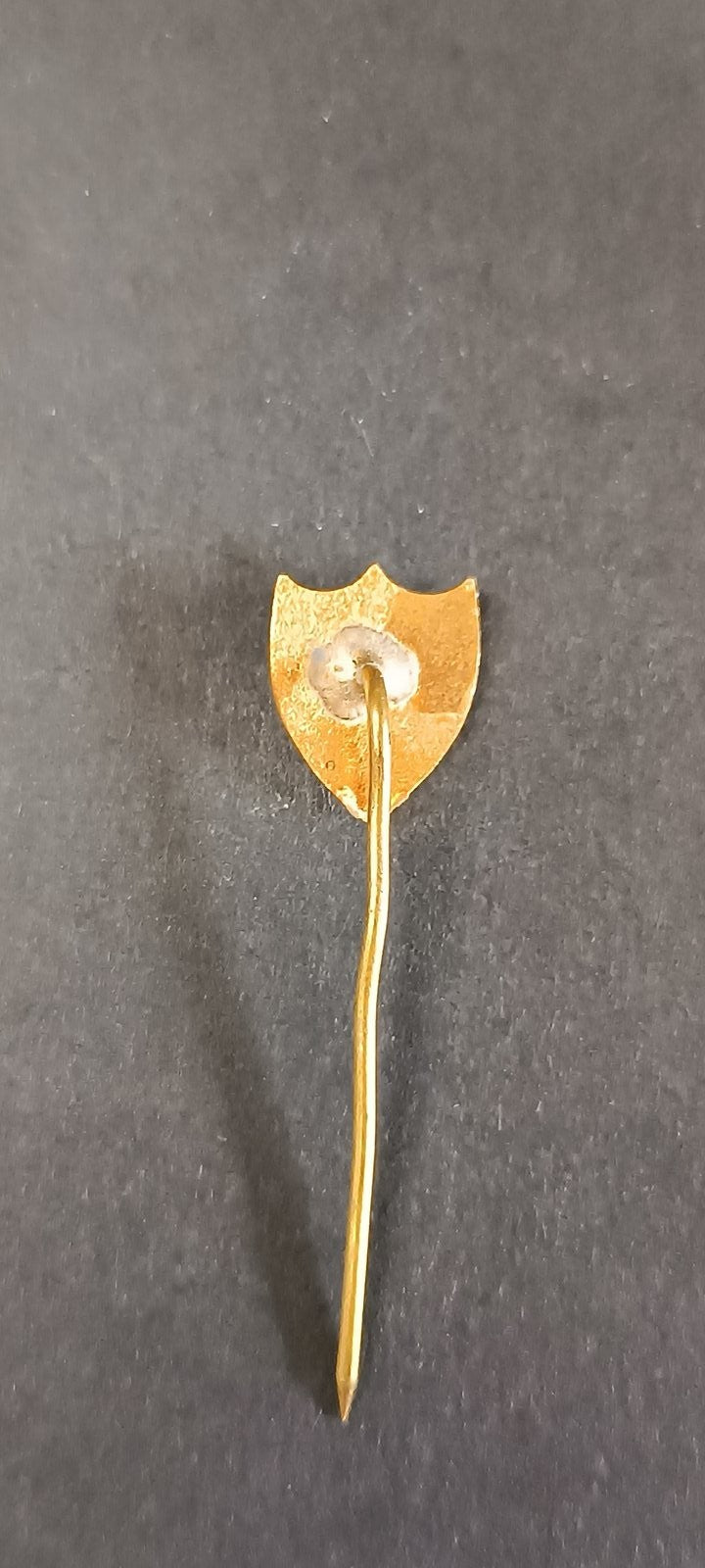 spilla badge pins ???????